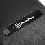 SilverStone SST DS380 